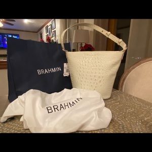 Brahmin Purse